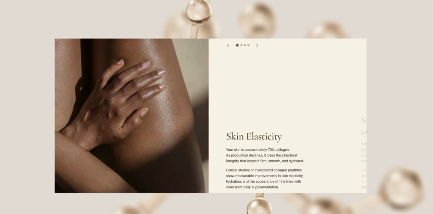 The Absolute Collagen project detail