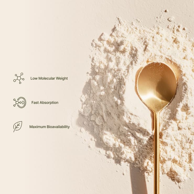 The Absolute Collagen project detail