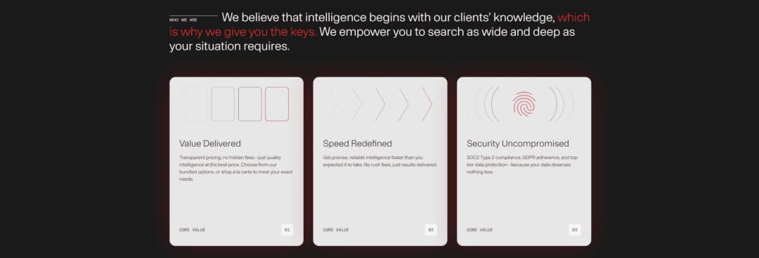Alias Intelligence project