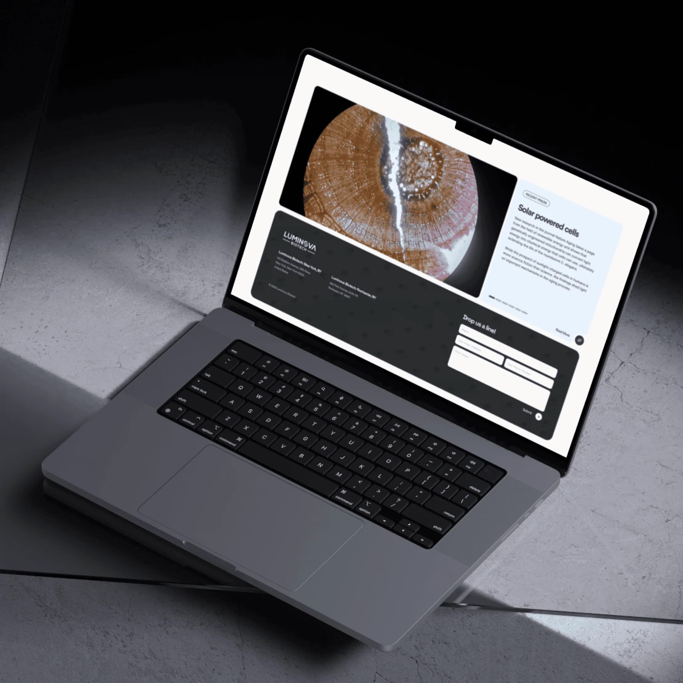 Luminova Biotech project