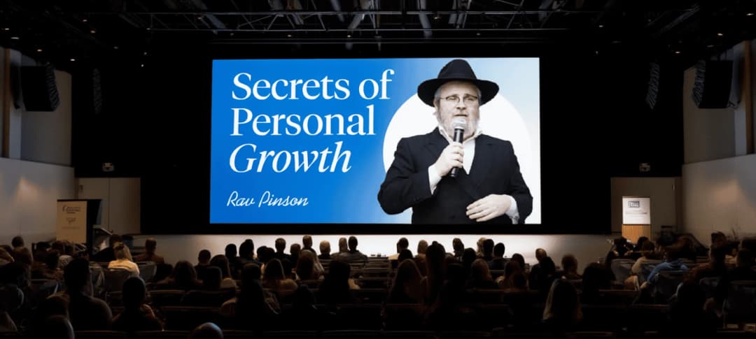 Rabbi DovBer Pinson project