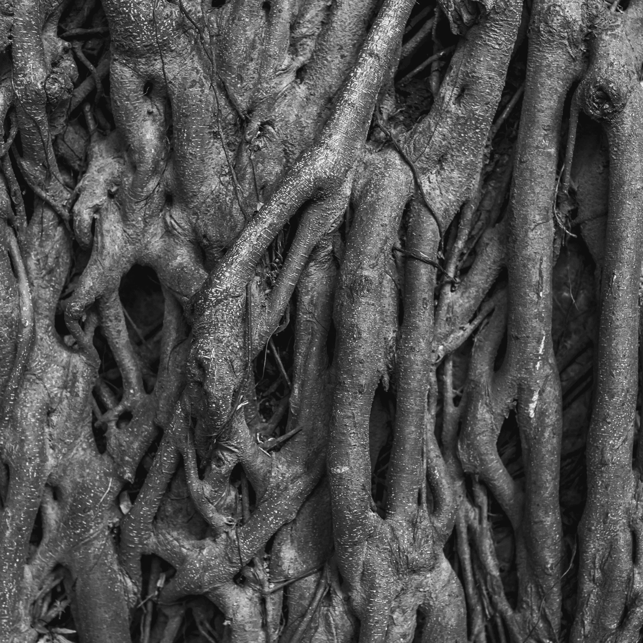 Oak Funding website design by Splash Creative