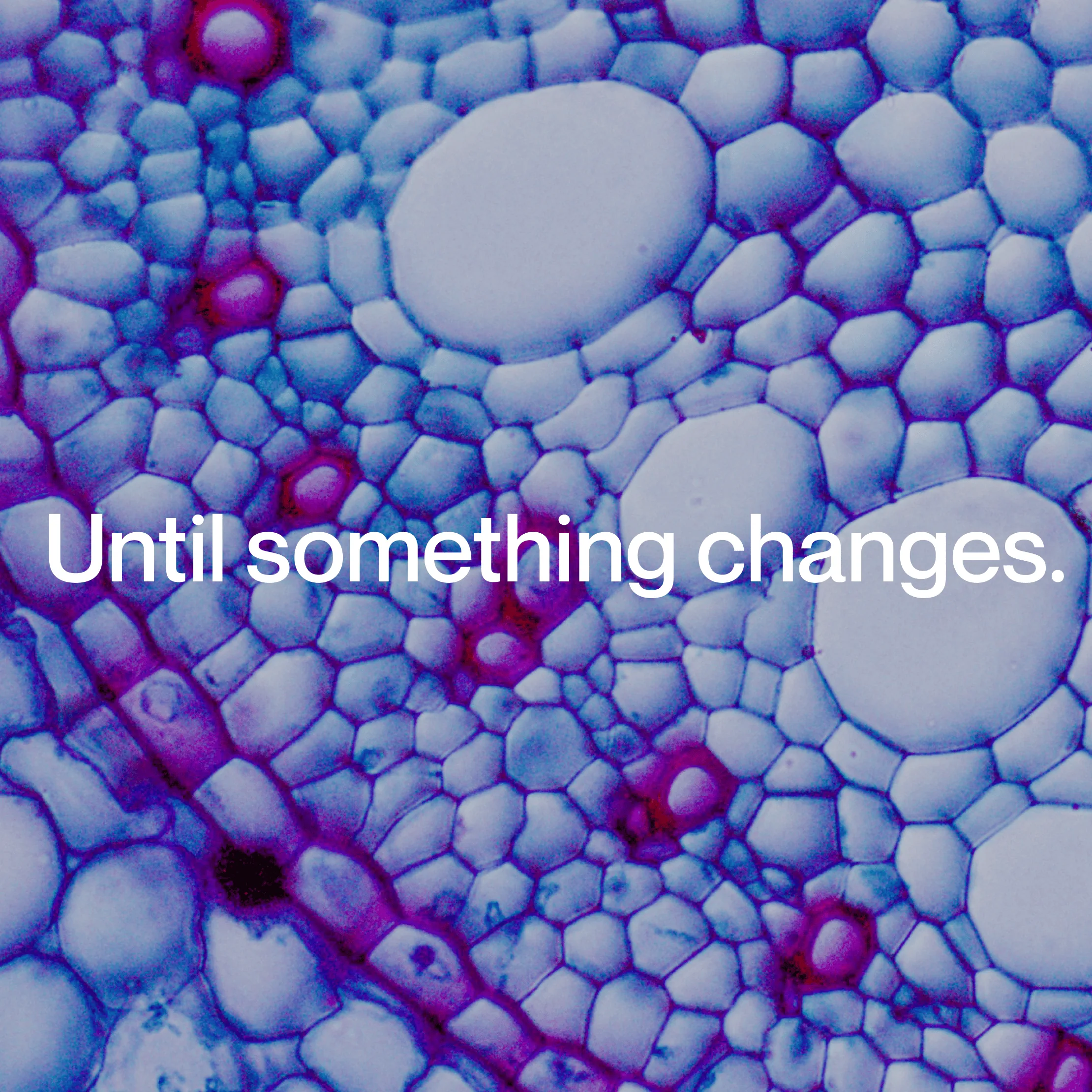 Luminova Biotech website by Splash Creative